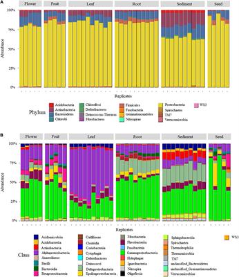 Distinct Endophytic Bacterial Communities Inhabiting Seagrass Seeds